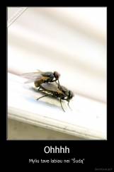 Ohhhh - Myliu tave labiau nei "Šudą"