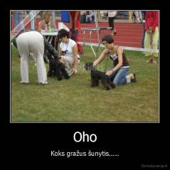 Oho - Koks gražus šunytis.....