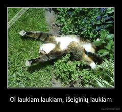 Oi laukiam laukiam, išeiginių laukiam - 