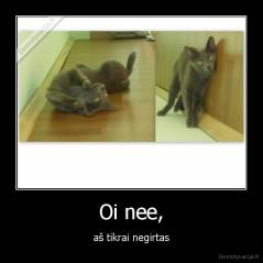 Oi nee, - aš tikrai negirtas