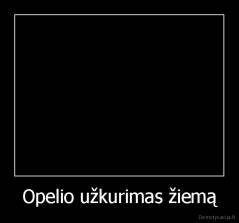 Opelio užkurimas žiemą - 