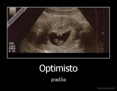 Optimisto - pradžia