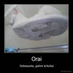 Orai - Debesuota, galimi krituliai