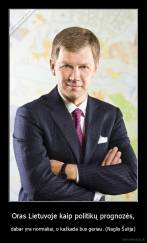 Oras Lietuvoje kaip politikų prognozės, - dabar yra normaliai, o kažkada bus geriau. (Naglis Šulija)
