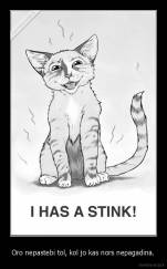 Oro nepastebi tol, kol jo kas nors nepagadina. - 