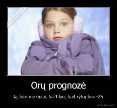 Orų prognozė - Ją žiūri mokiniai, kai tikisi, kad rytoj bus -25