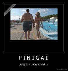 P I N I G A I  - jis jų turi daugiau nei tu