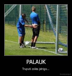 PALAUK - Truputi zolės įstrigo...