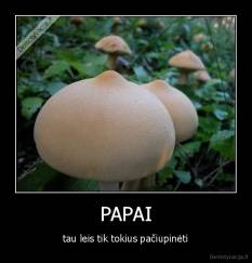 PAPAI - tau leis tik tokius pačiupinėti
