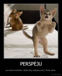 PERSPĖJU - esu smarkiai trenituotas - išplėšiu širdį, sudaužysiu snukį ir išmušiu dantis.