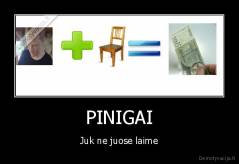 PINIGAI - Juk ne juose laime