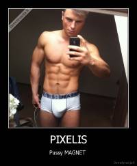 PIXELIS - Pussy MAGNET 