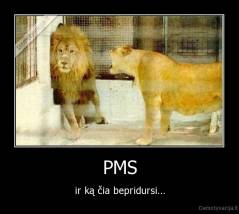PMS - ir ką čia bepridursi...