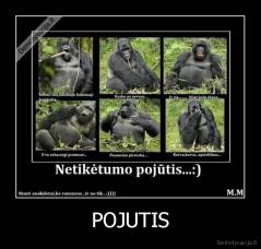 POJUTIS - 