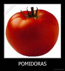 POMIDORAS - 
