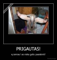 PRIGAUTAS! - e,ramiau! as viska galiu paaiskinti!