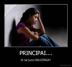 PRINCIPAI.... - Ar tai jums NAUDINGA?
