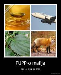 PUPP-o mafija - Tik 10-okai supras