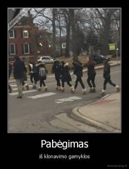 Pabėgimas - iš klonavimo gamyklos