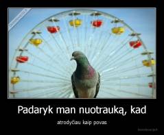 Padaryk man nuotrauką, kad - atrodyčiau kaip povas