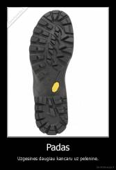 Padas - Uzgesines daugiau kancaru uz pelenine.