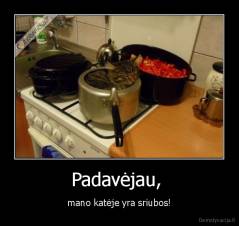 Padavėjau,  - mano katėje yra sriubos!