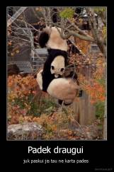 Padek draugui  - juk paskui jis tau ne karta pades 