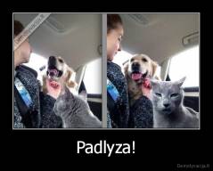 Padlyza! - 