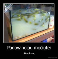 Padovanojau močiutei - Akvariumą