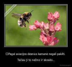 ■Pagal aviacijos dėsnius kamanė negali pakilti.  - Tačiau ji to nežino ir skraido..