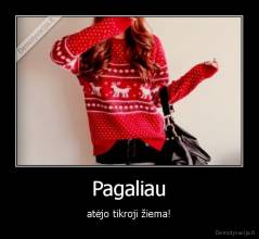 Pagaliau - atėjo tikroji žiema!