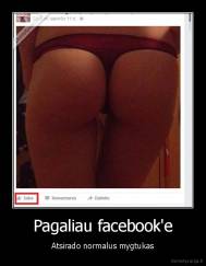 Pagaliau facebook'e - Atsirado normalus mygtukas