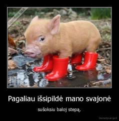 Pagaliau išsipildė mano svajonė - sušoksiu baloj stepą.