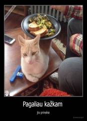 Pagaliau kažkam  - jis prireikė