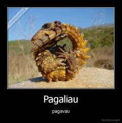 Pagaliau - pagavau