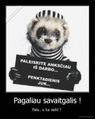 Pagaliau savaitgalis ! - Pala.. o ka veikt ? 