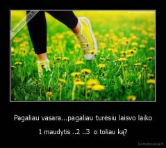 Pagaliau vasara...pagaliau turėsiu laisvo laiko - 1 maudytis ..2 ..3  o toliau ką?