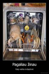 Pagaliau žinau - Kaip veikia indaplovė