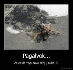 Pagalvok... - Ar vis dar vysi savo šunį į lauka???