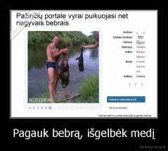 Pagauk bebrą, išgelbėk medį - 