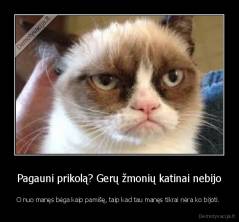 Pagauni prikolą? Gerų žmonių katinai nebijo - O nuo manęs bėga kaip pamišę, taip kad tau manęs tikrai nėra ko bijoti. 
