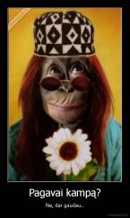 Pagavai kampą? - Ne, dar gaudau..