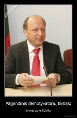 Pagrindinis demotyvatorių tikslas: - žymės apie Kubilių