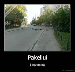 Pakeliui - Į egzaminą