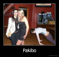 Pakibo - 