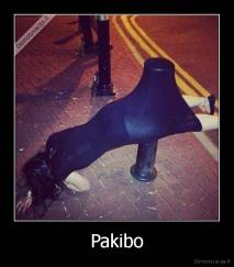 Pakibo - 