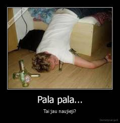 Pala pala... - Tai jau naujieji?