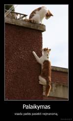 Palaikymas - visada padės pasiekti neįmanomą.