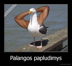Palangos papludimys - 