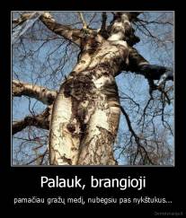 Palauk, brangioji - pamačiau gražų medį, nubėgsiu pas nykštukus...